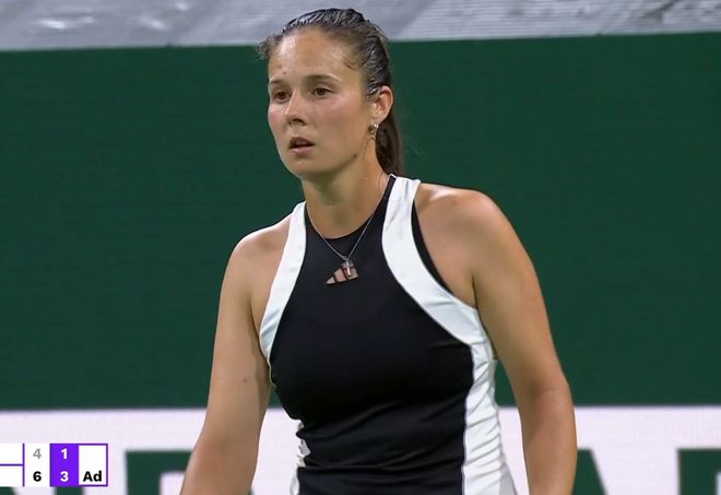 国内外球迷 国内外球迷